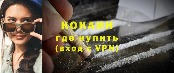 прущие грибы Богданович