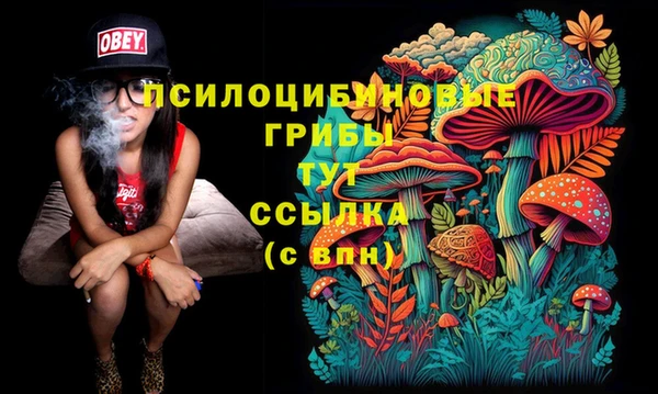 spice Бронницы