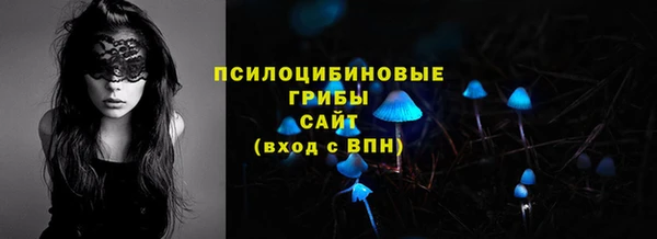 прущие грибы Богданович