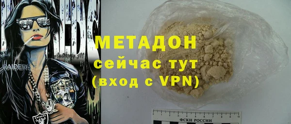 прущие грибы Богданович