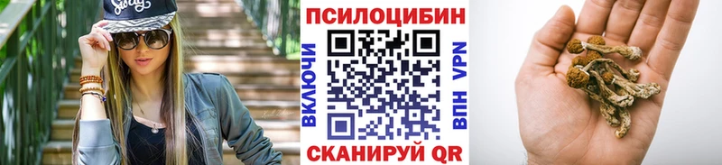 Псилоцибиновые грибы Magic Shrooms Новотроицк