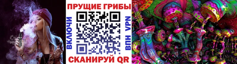 Купить  Новотроицк  Псилоцибиновые грибы Psilocybe 