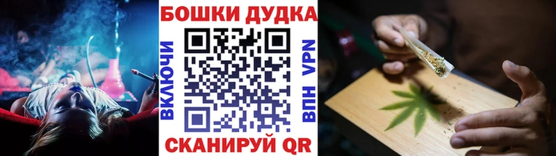 Каннабис план  Купить где  Новотроицк 